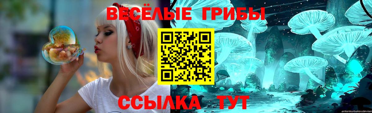 Псилоцибиновые грибы мухоморы Черногорск